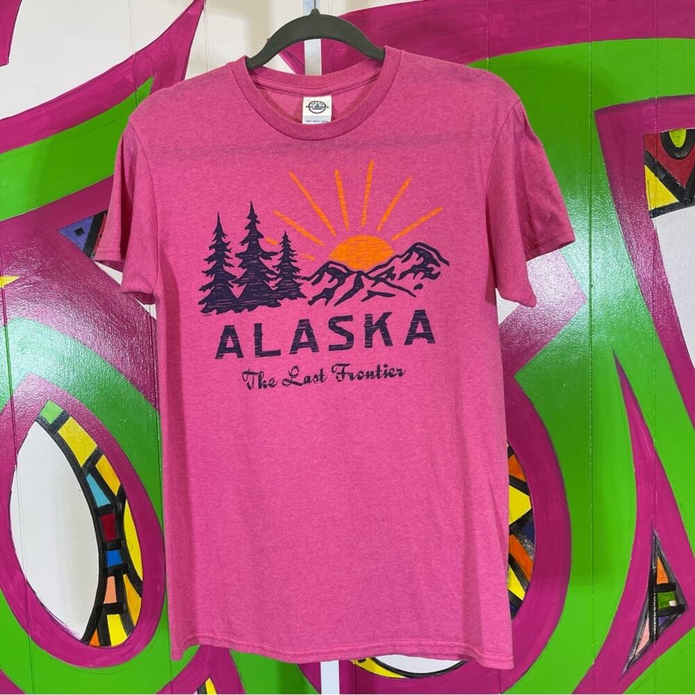 Delta Pro Weight, Alaska Graphic T-Shirt. Size Small. In excellent condition!